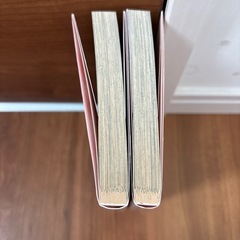 少女漫画　全２巻の画像