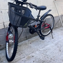自転車　子供用　名護市　名護　マウンテンバイク　サイクル　チャリ　チャリンコ　サイクリング　の画像
