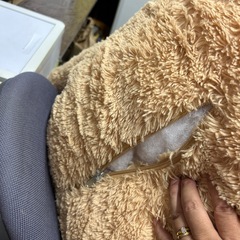 巨大くまのぬいぐるみの画像