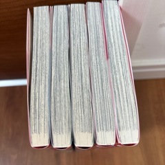少女漫画　　　青春の霹靂全5巻の画像