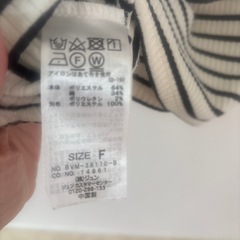 レディースの画像