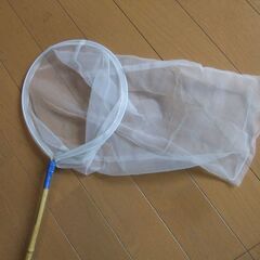 虫網の画像