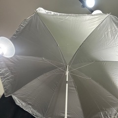 パラソルの画像