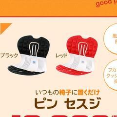 ピン・背筋の画像