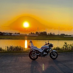 バリオス250の画像
