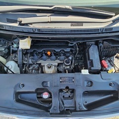 ホンダ ステップワゴン 2.0G Lﾊﾟｹ ((白真珠))の画像