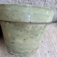 植木鉢　3つの画像
