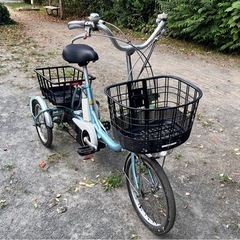YAMAHA PASワゴン（３輪）の画像