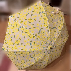 日傘の画像