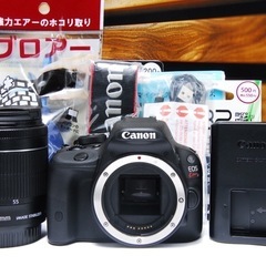 ⭐️美品⭐️Canon x7 18-55mm STM スマホ転送 一眼レフ　カメラの画像