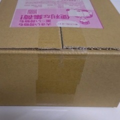 ポケモンセンタートウホクスペシャルBOX未開封