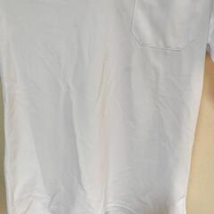 学生白の半袖シャツ　Sサイズ②の画像