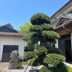 【急募！】草刈り伐採スタッフ募集中！の画像