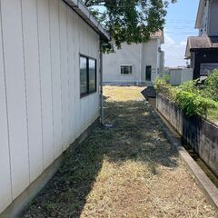 【急募！】草刈り伐採スタッフ募集中！の画像