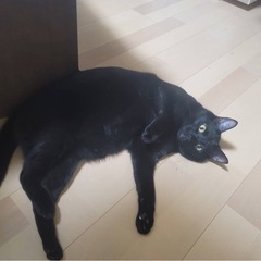 男の子3歳