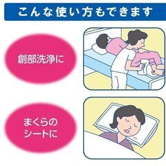 サルバ 白十字 吸水シート LLD 10枚入 30cm×72cm 在庫5の画像