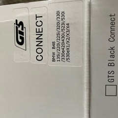 レーシングチップGTSの画像