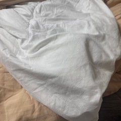 【引地限定】ニトリ ボリューム抗菌防臭防ダニ掛け布団　シングルの画像