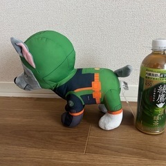 パウパトロール　ロッキー　ぬいぐるみ　の画像