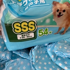 犬用　おむつの画像