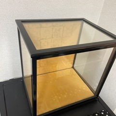人形ケースの画像