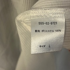 レディース 夏服 シアーシャツの画像
