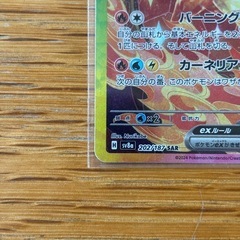 ブースターex SAR SV8a テラスタルフェスex 202/187の画像