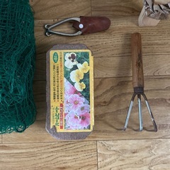 花壇、ガーデニング用品の画像