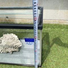 アクアリウム　60cm水槽　珊瑚　　ガラス蓋の画像