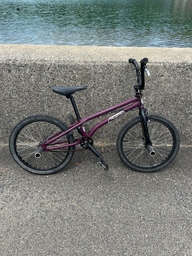 【引き渡し決定】ARES BYKES ASHURA  BMX  アーレス　アシュラ　フラット
