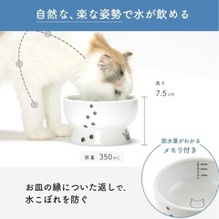 猫の画像