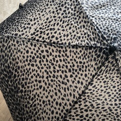 折りたたみ傘の画像