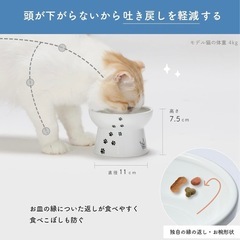 猫の画像