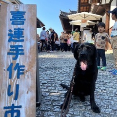 [喜連瓜破]ハンドメイドイベント出店者募集中🎉