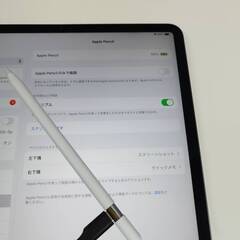 Apple Pencil USB-C/A3085/アップルペンシル〈MUWA3ZA/A〉の画像