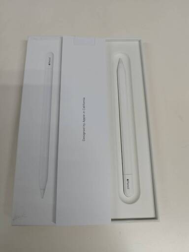 Apple Pencil USB-C/A3085/アップルペンシル〈MUWA3ZA/A〉