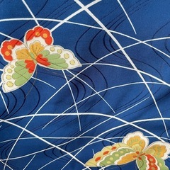 蝶々柄着物の画像