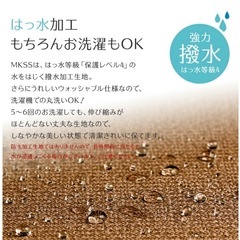 サンシェードの画像