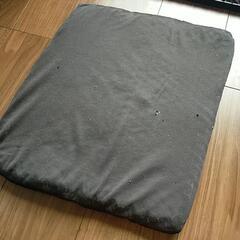 車　クッションの画像