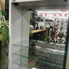 【36】コレクションケースの画像
