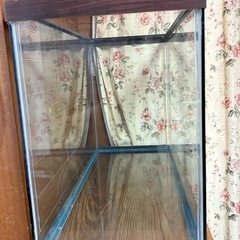 木目調の水槽の画像