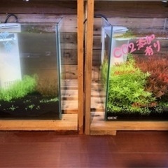 化学式co2ジェネレーターの画像