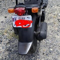 ホンダ　ズーマー　560キロ　値下げしましたの画像