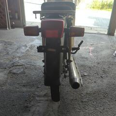 ホンダ・スーパーカブ50ccの画像