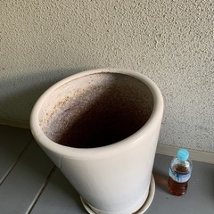 大きな植木鉢の画像