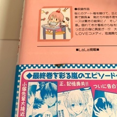 少女漫画 お兄ちゃんと一緒 時計野はり 全巻セットの画像
