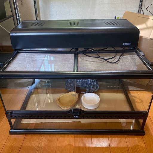 【爬虫類ケージ
飼育５点セット】エキゾテラ  グラステラリウム6030 /コンパクトトップ60　爬虫類飼育ケージ