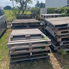 木製パレット、プラパレ差し上げます。の画像