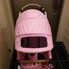 エアバギー　Air Buggyの画像