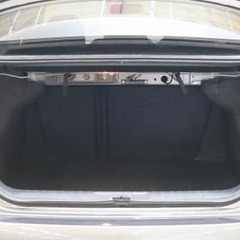 お宝発見！！の画像